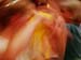 DSC02139